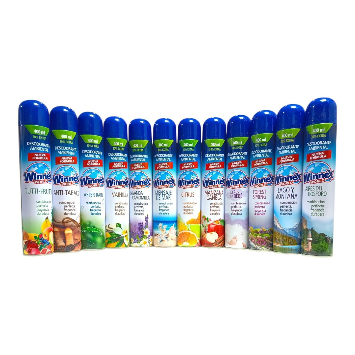 AMBIENTAL WINNEX