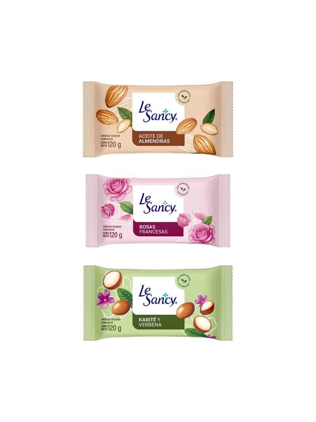 le sancy